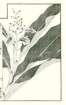 photo9_small.jpg