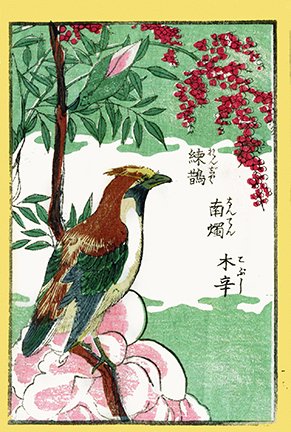 photo27.jpg