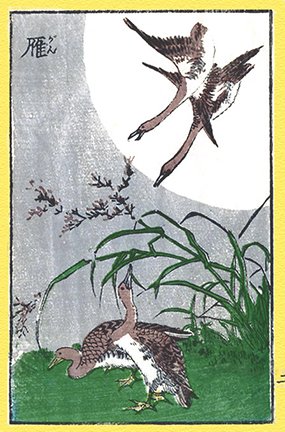 photo3.jpg
