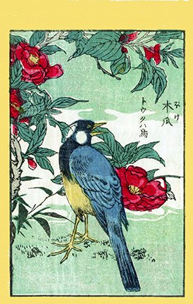 photo30.jpg