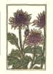 photo3_small.jpg
