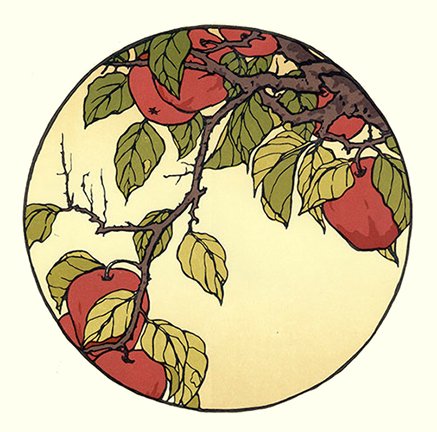 photo43.jpg