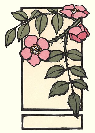 photo45.jpg