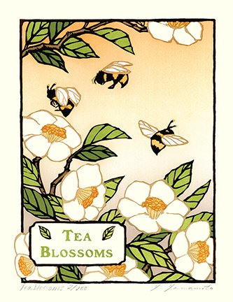 photo56.jpg