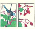 photo7_small.jpg