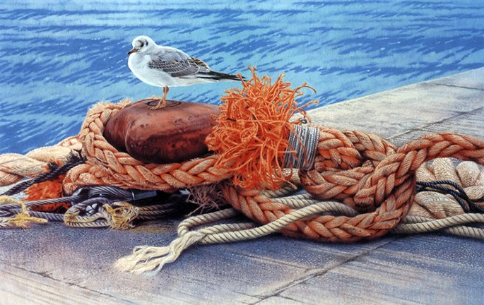 photo6.jpg