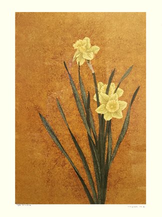 photo22.jpg