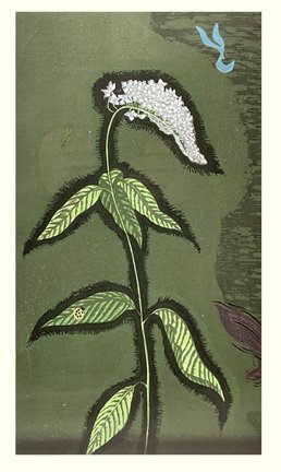 photo3.jpg