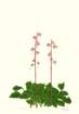 photo52_small.jpg