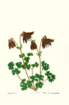 photo58_small.jpg