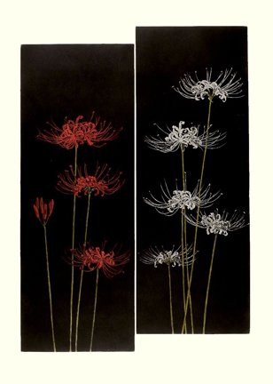 photo19.jpg