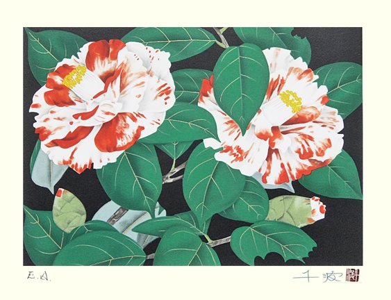 photo7.jpg