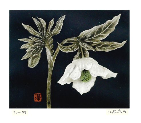 photo9.jpg