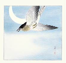 Moonlit Birds Exhibition of the Reader Collection of Japanese Flower ...