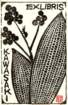 photo58_small.jpg