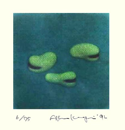 photo3.jpg