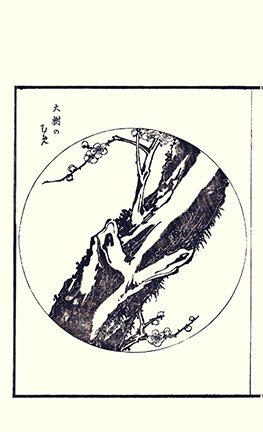 photo29.jpg