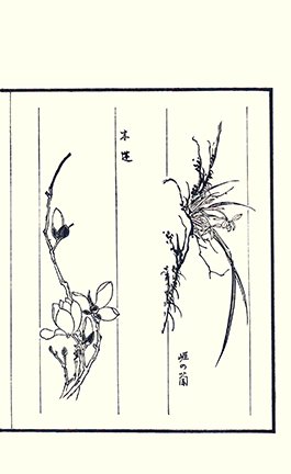 photo35.jpg