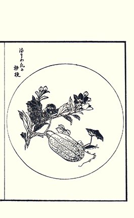 photo40.jpg