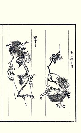 photo46.jpg
