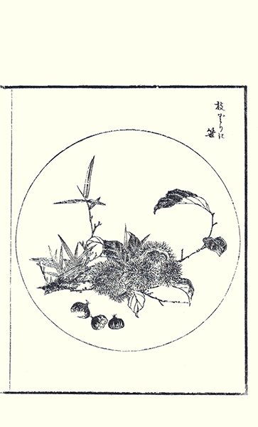 photo59.jpg