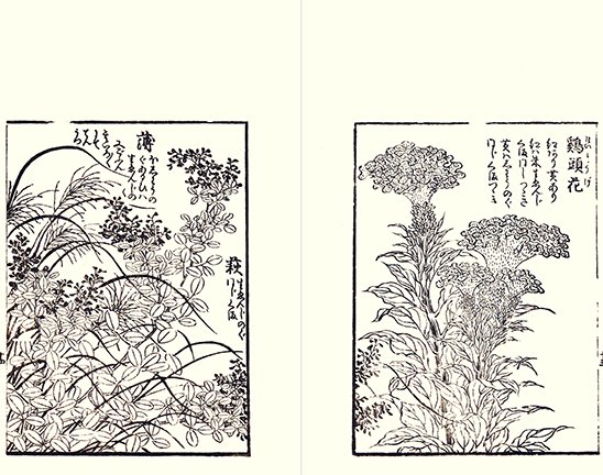 photo19.jpg