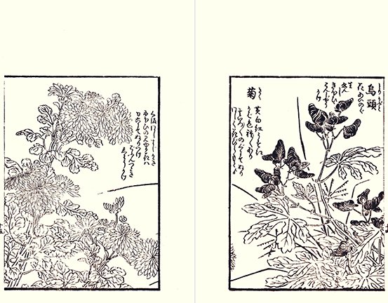 photo20.jpg