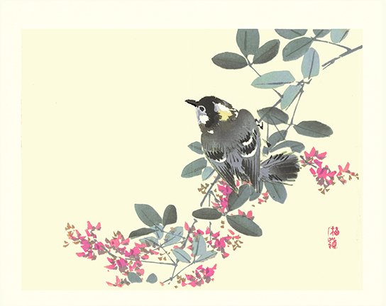 photo16.jpg