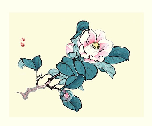 photo25.jpg