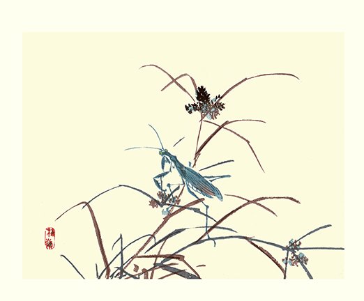 photo28.jpg