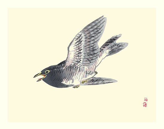 photo38.jpg