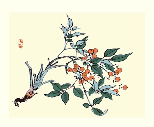 photo7.jpg