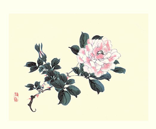 photo9.jpg