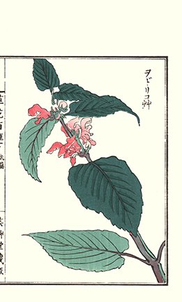 photo164.jpg