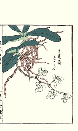photo58.jpg