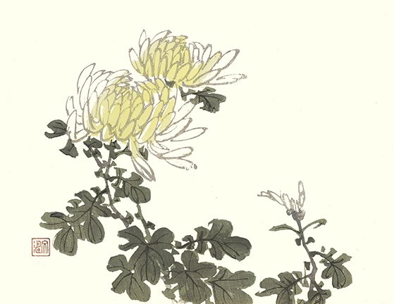 photo23.jpg