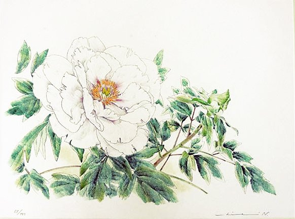 photo5.jpg