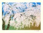 photo77_small.jpg
