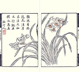 photo.jpg