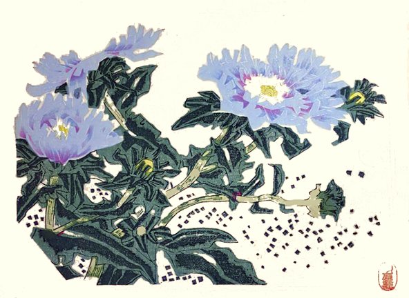 photo29.jpg