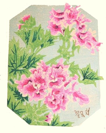 photo43.jpg