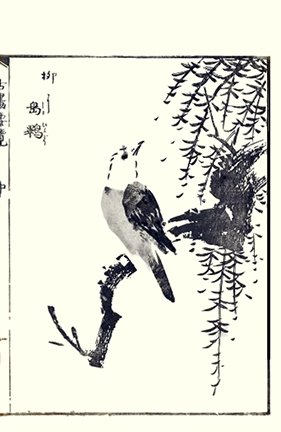 photo.jpg
