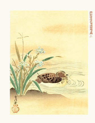 photo2.jpg