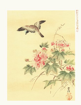 photo7.jpg