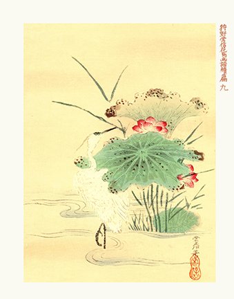 photo9.jpg