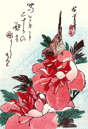 photo179.jpg