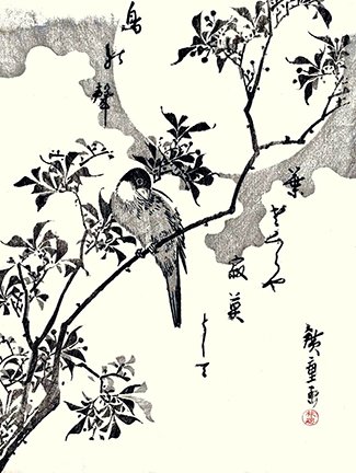 photo200.jpg