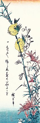 photo231.jpg