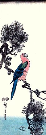 photo427.jpg