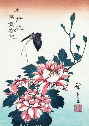 photo43.jpg